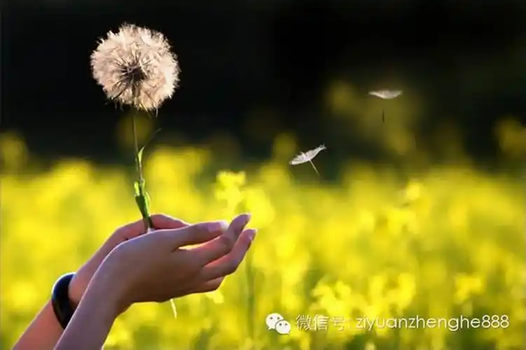 一切随风去世间自在人