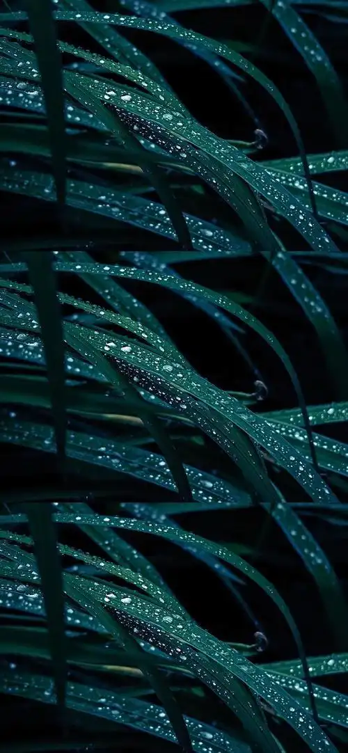 护眼壁纸|放慢脚步,感受生活的慢节奏