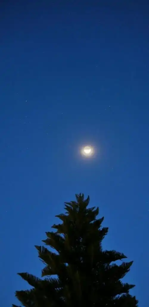 明早,星星月亮"歪嘴笑"