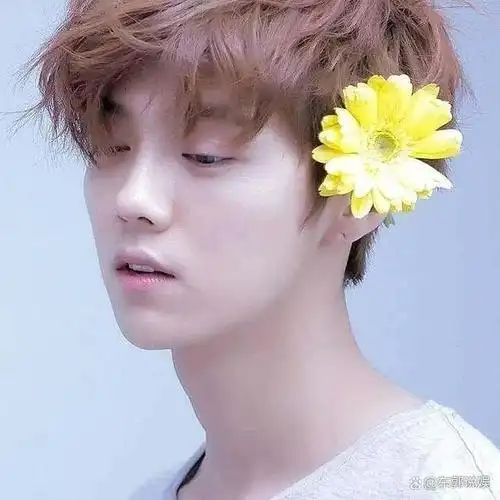 鹿晗公认的京城少爷让韩国节目组当面道歉他家世到底有多牛