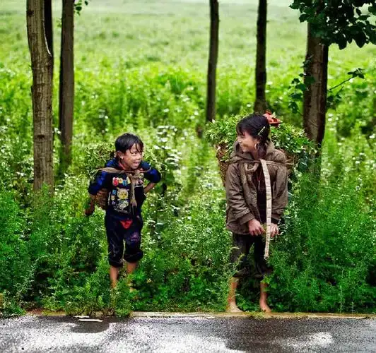 农村童年记忆难再见到的农村真实生活6组