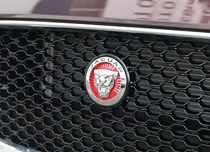 一眼定江湖全新捷豹xfl