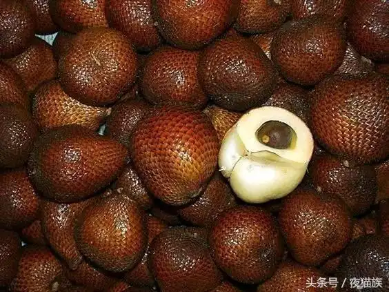 世界上很奇怪的30种水果,见过十种算你厉害,我看了,很多都没见过!