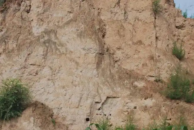 洛宁古迹之古遗址篇①西王村遗址