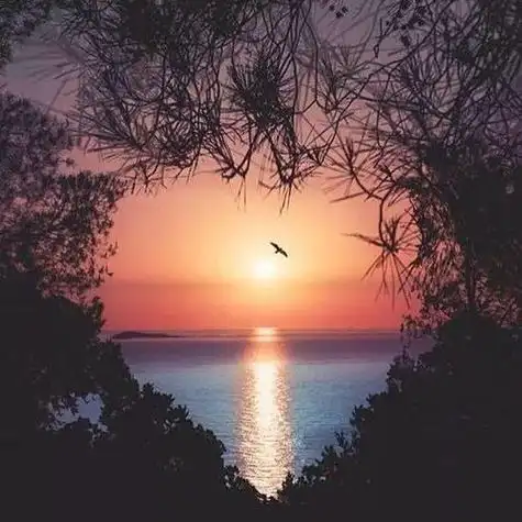 风景头像男中年,风景头像图片