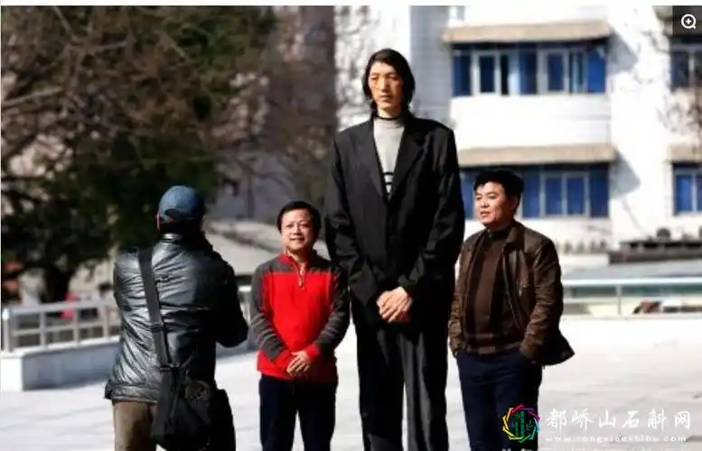 中国最高的人排名中国最高的人是谁身高多少