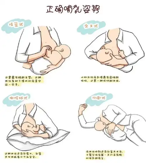 正确的哺乳喂养姿势