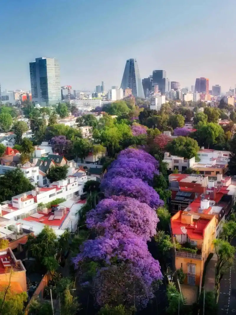 98拉丁美洲最不安全的首都|墨西哥城.96"壁画之都"墨西哥 - 抖音