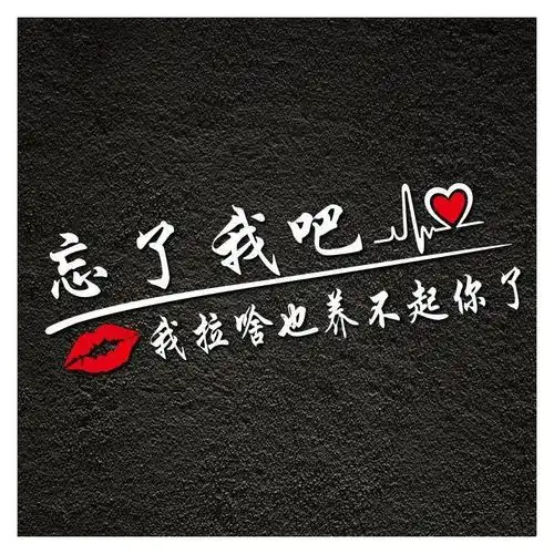 忘了我吧车贴我拉啥也养不起你了抖音贴纸网红文字挖机个性装饰贴