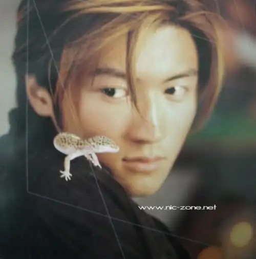 谢霆锋最帅的黄色头发照片