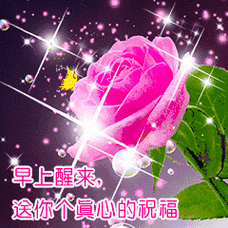 早上好动态表情包:早上好,一天的好心情从我的问候开始