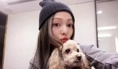 在这场大战中,比较敢说敢做的韩红也曾公开支持张韶涵,拒绝范玮琪的