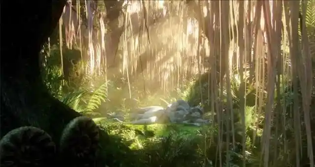 春季开花,青紫色蝶形花冠,灿若星辰~跟《阿凡达》中的"灵魂树"相比,是