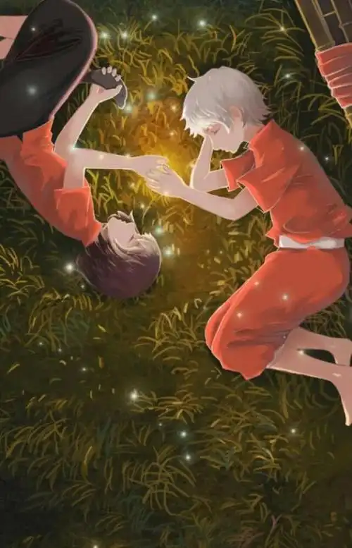 大鱼海棠第二季生死仅在一念之间椿与湫重回自己的故乡