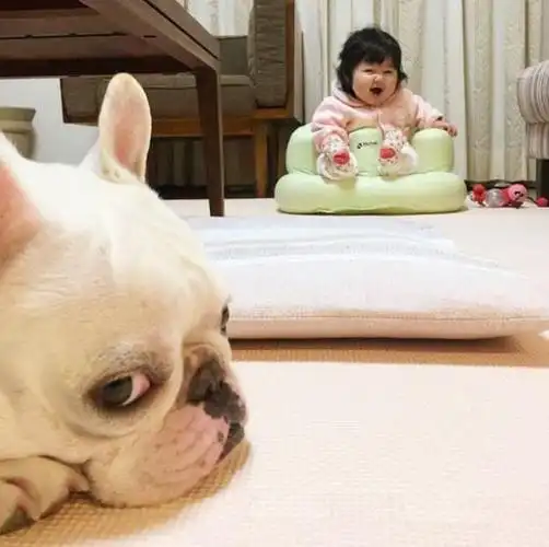 原创喝母乳宝宝胖成米其林产生这种情况的原因看完笑不出来