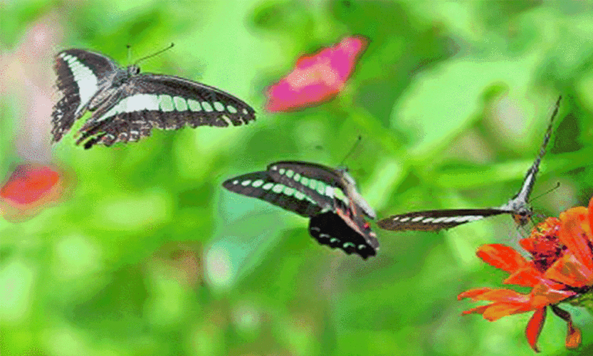 2019年5月21日王金鹏在服饰项目研讨二群分享主题 《 当今社会生存发