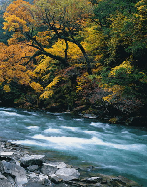 750_950竖版 竖屏gif 动态图 动图