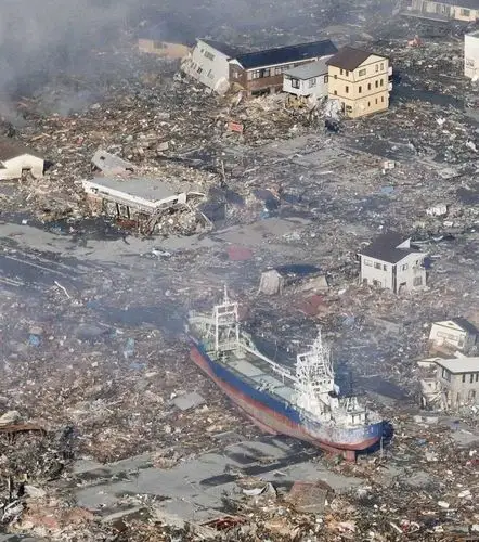 孔刘汤唯合作,允儿回归荧屏,创造营2020,张晋vlog,最后一只纯白长颈鹿