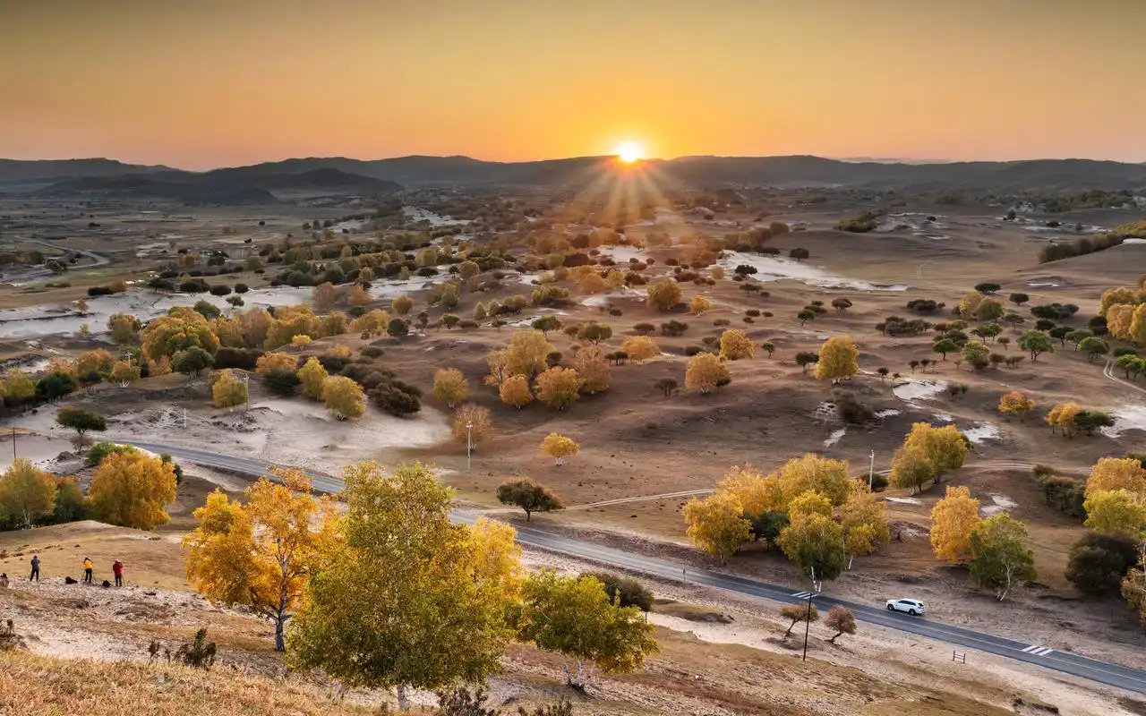 坝上美丽的秋天,树木,日出 iphone 壁纸