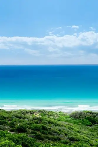 壁纸 假日海滩 1920x1200 hd 高清壁纸, 图片, 照片