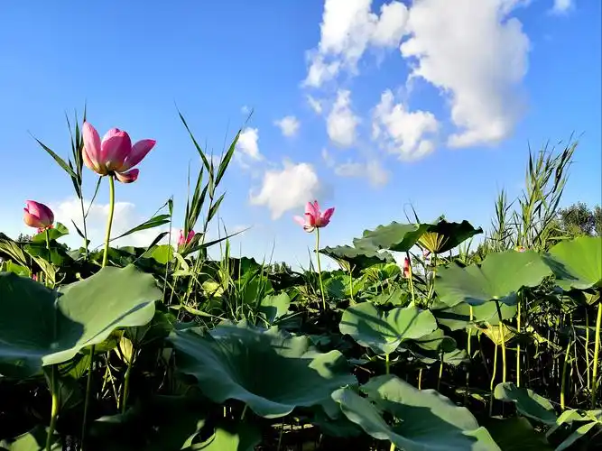 雨过天晴,云淡风轻.