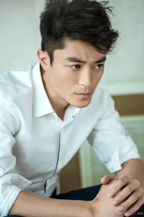 请点击此处输入图片描述 13霍建华