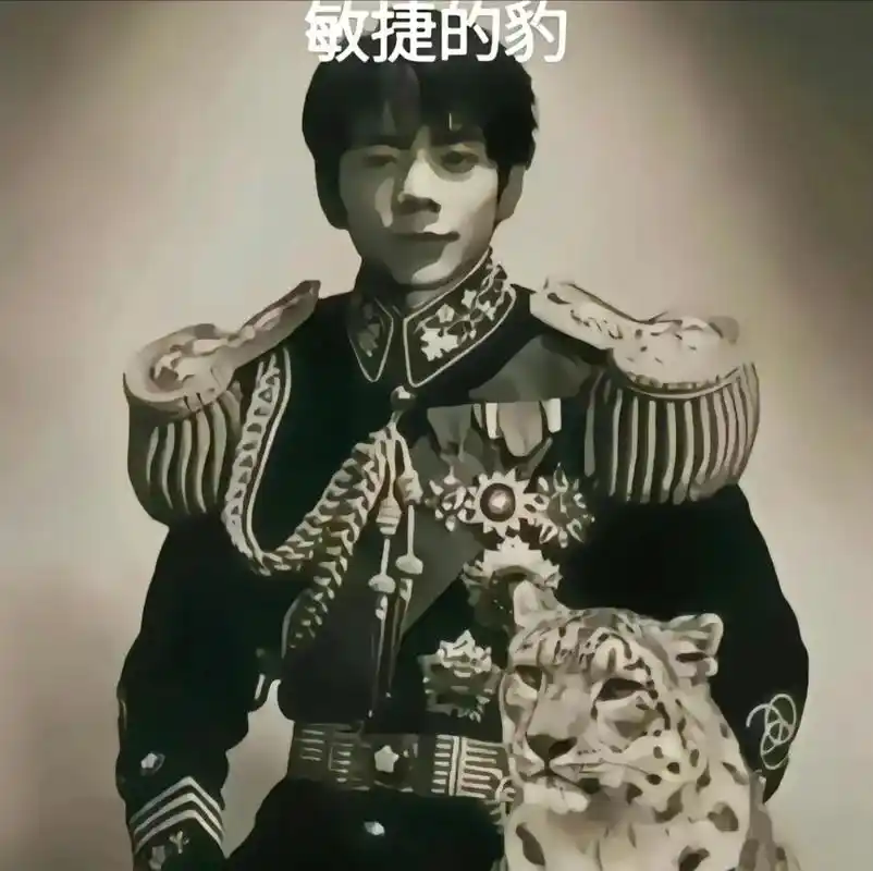 导管 #神鹰黑手哥 #芝士雪豹 #抽象艺术 - 抖音