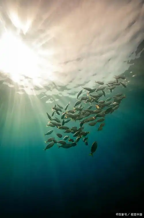 地球表面温度降到多少才能把海洋里的水全冻成冰?