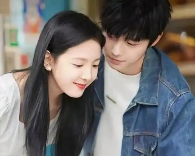 近年最耐看的10部电视剧推荐(推荐8部高颜值超好看的电视剧)(12)