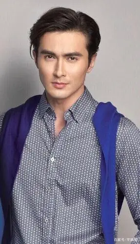 娱乐:高洁傲岸,玉树临风应该就是形容高伟光这样的男子吧