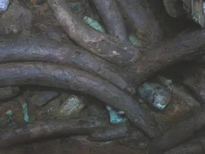 三星堆出土了大量的象牙.