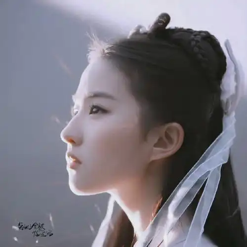 温柔又惊艳的追星文案