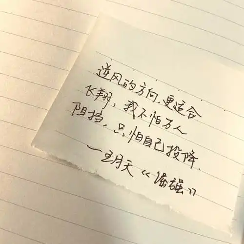 励志文案永远都不要放弃手写文字