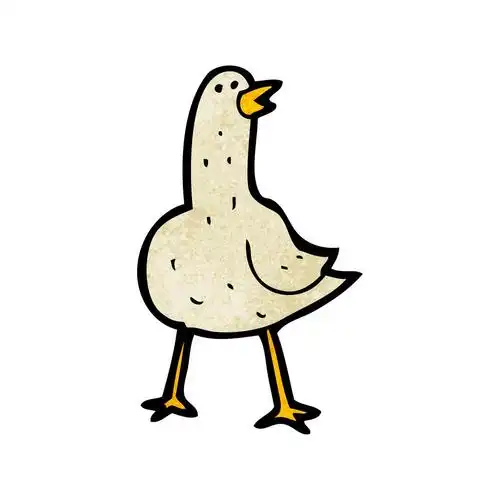 鸽子,向量,在白色背景上的卡通鸽子