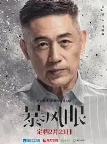 《暴风眼》演员表 《暴风眼》角色介绍_电视剧
