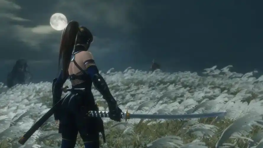 只狼影逝二度性感女忍者mod凌音霞红叶登场