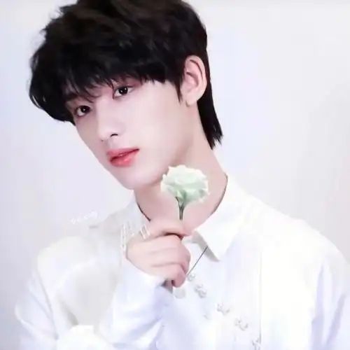 丁程鑫头像无水印