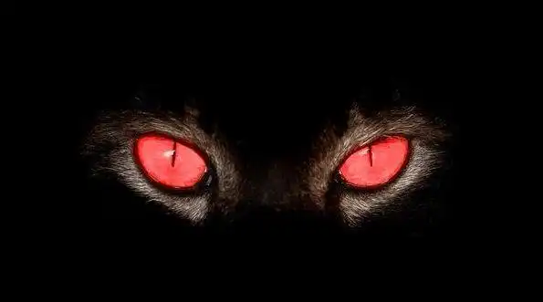 故事大将军夜遇方相鬼妖魔鬼怪也怕凶神恶煞之人