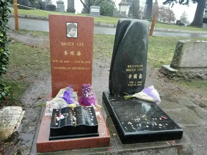 西雅图,我的翡翠之城(四)