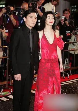 章子怡梁朝伟经典电影(明星拍同性恋片的尴尬经历)(12)