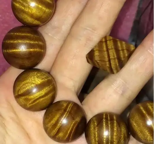 "金丝楠木"树苗一株才10元左右,为啥没人愿意种?