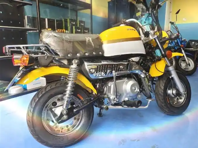 准新二手金城小金童猴子