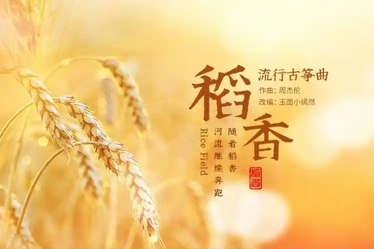 玉面小嫣然改编经典歌曲稻香伴随着温暖的阳光听来分外感动