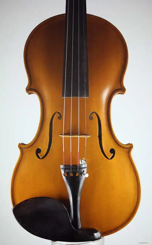 欧洲10万人民币的naldi小提琴真漂亮