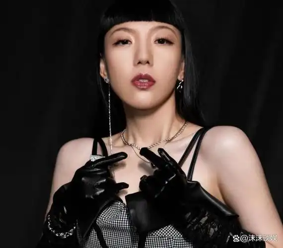 那时的《中国好声音》在全国大受欢迎.