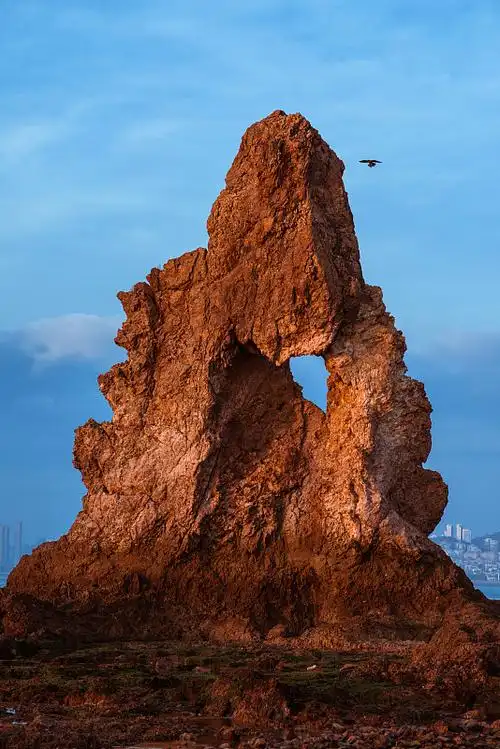 青岛石老人特写图片下载