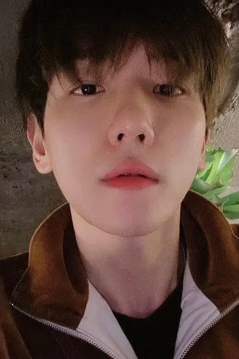 边伯贤图楼百宝箱自拍指南78有更新