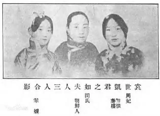袁世凯"妻妾"照片:正妻气场强大,8个女儿统一穿着"皇女服"