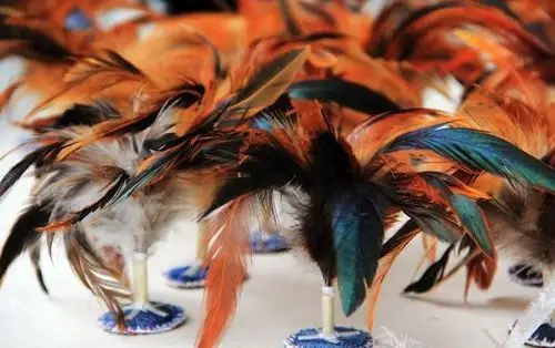 鸡毛飞上天告诉你人生是需要奋斗的