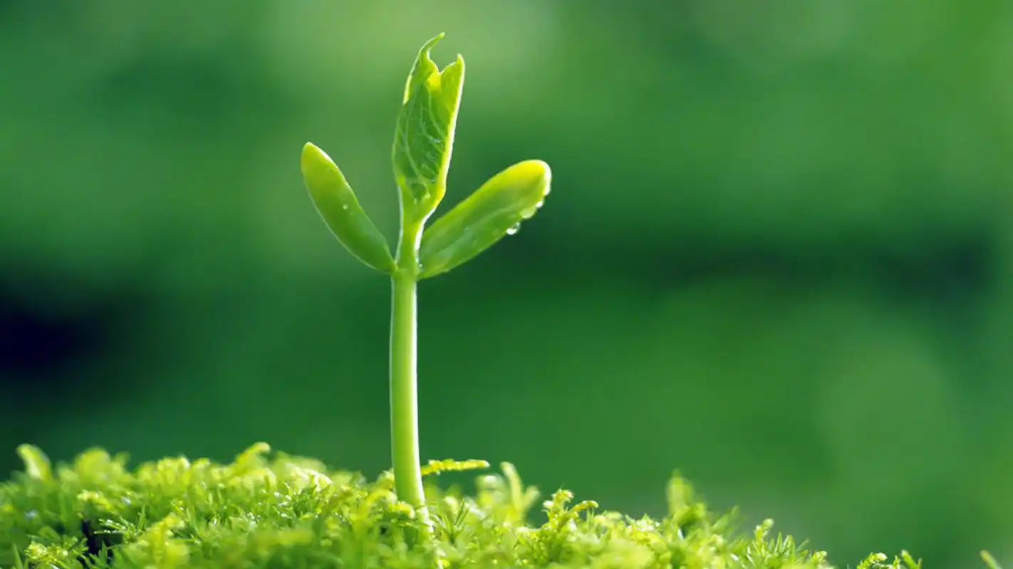 意境超美的好句子,情深意长,让人忍不住分享!